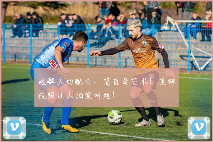 这群人的配合,简直是艺术!集锦视频让人拍案叫绝!